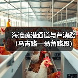 海沧疏港通道与芦澳路(马青路—翁角路段)沥青路面及剩余附属工程项目经理部举行揭牌仪式(图2) 海沧疏港通道与芦澳路(马青路—翁角路段)沥青路面及剩余附属工程项目经理部举行揭牌仪式(图2)