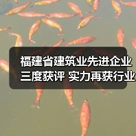 福建省建筑业先进企业三度获评 实力再获行业认可(图2) 福建省建筑业先进企业三度获评 实力再获行业认可(图2)