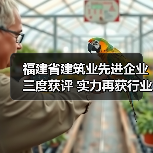 福建省建筑业先进企业三度获评 实力再获行业认可(图3) 福建省建筑业先进企业三度获评 实力再获行业认可(图3)