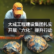 大成工程建设集团扎实开展“六化”提升行动推动高质量发展(图4) 大成工程建设集团扎实开展“六化”提升行动推动高质量发展(图4)