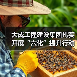 大成工程建设集团扎实开展“六化”提升行动推动高质量发展(图3) 大成工程建设集团扎实开展“六化”提升行动推动高质量发展(图3)