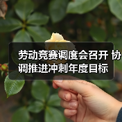 劳动竞赛调度会召开 协调推进冲刺年度目标(图2) 劳动竞赛调度会召开 协调推进冲刺年度目标(图2)