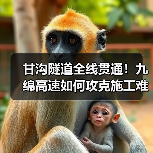 甘沟隧道全线贯通!九绵高速如何攻克施工难题?(图2) 甘沟隧道全线贯通!九绵高速如何攻克施工难题?(图2)