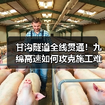甘沟隧道全线贯通!九绵高速如何攻克施工难题?(图4) 甘沟隧道全线贯通!九绵高速如何攻克施工难题?(图4)