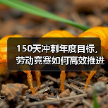 150天冲刺年度目标,劳动竞赛如何高效推进?(图1) 150天冲刺年度目标,劳动竞赛如何高效推进?(图1)