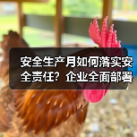 安全生产月如何落实安全责任?企业全面部署推动安全发展(图4) 安全生产月如何落实安全责任?企业全面部署推动安全发展(图4)