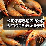 公司荣膺思明区纳税特大户称号彰显企业责任（图4）