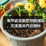 南平武夷集团莅临指导，交流重点内容揭秘（图2）