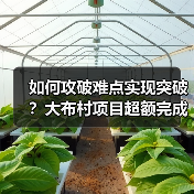 如何攻破难点实现突破？大布村项目超额完成年度目标