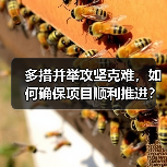多措并举攻坚克难，如何确保项目顺利推进？（图3）