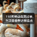 150天劳动竞赛过半，各项目最新进展盘点（图2）