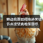 劳动竞赛如何推进关键节点攻坚克难保目标