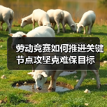 劳动竞赛如何推进关键节点攻坚克难保目标（图2）