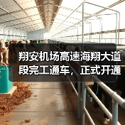 翔安机场高速海翔大道段完工通车，正式开通在即
