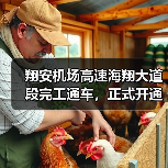 翔安机场高速海翔大道段完工通车，正式开通在即（图3）