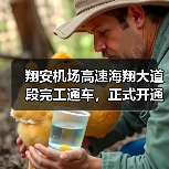 翔安机场高速海翔大道段完工通车，正式开通在即（图4）
