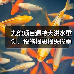 九绵项目遭特大洪水重创，设施损毁损失惨重