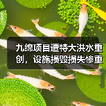 九绵项目遭特大洪水重创，设施损毁损失惨重（图2）