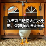 九绵项目遭特大洪水重创，设施损毁损失惨重（图4）