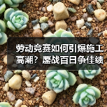 劳动竞赛如何引爆施工高潮？鏖战百日争佳绩