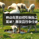 劳动竞赛如何引爆施工高潮？鏖战百日争佳绩（图4）