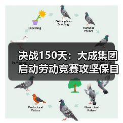决战150天：大成集团启动劳动竞赛攻坚保目标（图4）
