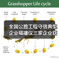 全国公路工程守信典型企业福建仅三家企业获选（图4）