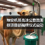 翔安机场高速公路路面标项目部揭牌仪式启动关键工程阶段(图1) 翔安机场高速公路路面标项目部揭牌仪式启动关键工程阶段(图1)