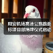 翔安机场高速公路路面标项目部揭牌仪式启动关键工程阶段(图3) 翔安机场高速公路路面标项目部揭牌仪式启动关键工程阶段(图3)
