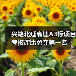 兴赣北延高速A3标项目考核评比勇夺第一名(图1) 兴赣北延高速A3标项目考核评比勇夺第一名(图1)