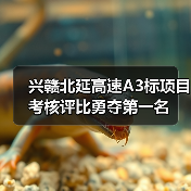兴赣北延高速A3标项目考核评比勇夺第一名(图4) 兴赣北延高速A3标项目考核评比勇夺第一名(图4)