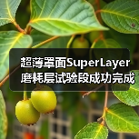 超薄罩面SuperLayer磨耗层试验段成功完成,为何成道路养护新趋势?(图3) 超薄罩面SuperLayer磨耗层试验段成功完成,为何成道路养护新趋势?(图3)