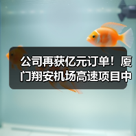 公司再获亿元订单！厦门翔安机场高速项目中标（图3）