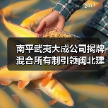 南平武夷大成公司揭牌 混合所有制引领闽北建材新标杆（图2）