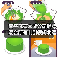 南平武夷大成公司揭牌 混合所有制引领闽北建材新标杆（图4）