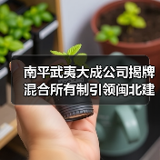 南平武夷大成公司揭牌 混合所有制引领闽北建材新标杆（图3）