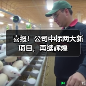 喜报！公司中标两大新项目，再续辉煌