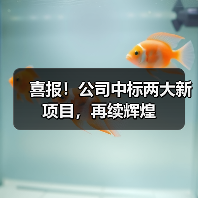 喜报！公司中标两大新项目，再续辉煌（图3）