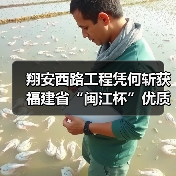 翔安西路工程凭何斩获福建省“闽江杯”优质工程奖?(图2) 翔安西路工程凭何斩获福建省“闽江杯”优质工程奖?(图2)