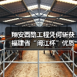 翔安西路工程凭何斩获福建省“闽江杯”优质工程奖?(图1) 翔安西路工程凭何斩获福建省“闽江杯”优质工程奖?(图1)