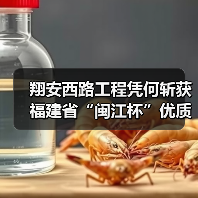 翔安西路工程凭何斩获福建省“闽江杯”优质工程奖?(图3) 翔安西路工程凭何斩获福建省“闽江杯”优质工程奖?(图3)