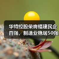 华特控股荣膺福建民企百强,制造业稳居50强!(图3) 华特控股荣膺福建民企百强,制造业稳居50强!(图3)
