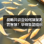 战略共识营如何凝聚高管智慧?华特集团组织变革新突破(图1) 战略共识营如何凝聚高管智慧?华特集团组织变革新突破(图1)