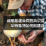 战略务虚会探路共识营:华特集团如何构建战略闭环?(图1) 战略务虚会探路共识营:华特集团如何构建战略闭环?(图1)