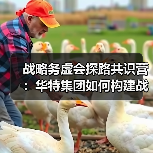 战略务虚会探路共识营:华特集团如何构建战略闭环?(图2) 战略务虚会探路共识营:华特集团如何构建战略闭环?(图2)
