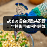 战略务虚会探路共识营:华特集团如何构建战略闭环?(图4) 战略务虚会探路共识营:华特集团如何构建战略闭环?(图4)