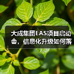 大成集团EAS项目启动会,信息化升级如何落地(图3) 大成集团EAS项目启动会,信息化升级如何落地(图3)