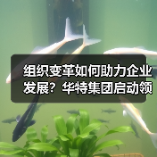 组织变革如何助力企业发展?华特集团启动领导力提升项目(图2) 组织变革如何助力企业发展?华特集团启动领导力提升项目(图2)