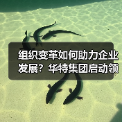 组织变革如何助力企业发展?华特集团启动领导力提升项目(图4) 组织变革如何助力企业发展?华特集团启动领导力提升项目(图4)