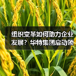 组织变革如何助力企业发展?华特集团启动领导力提升项目(图3) 组织变革如何助力企业发展?华特集团启动领导力提升项目(图3)